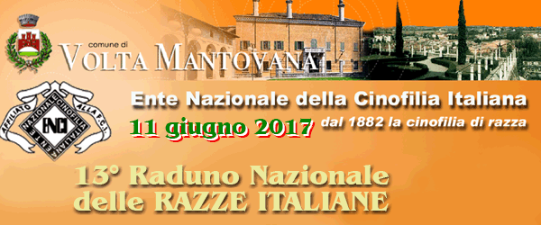 Per sapere di pi� sul Raduno valevole per il campionato italiano