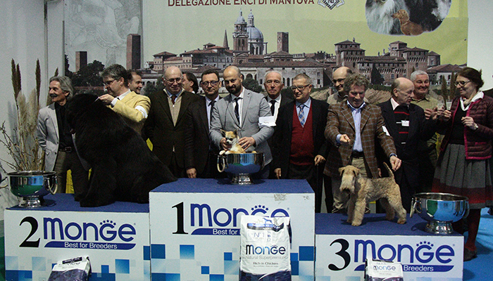 Descrizione: 1�Chihuahua 975 - 2� Terranova 294 -3� Lakeland Terrier 359
