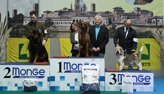 Descrizione: 1�Rhodesian 704 - 2� Chien de saint hubert 652 -3� Petit Basset G. Vende�en 663