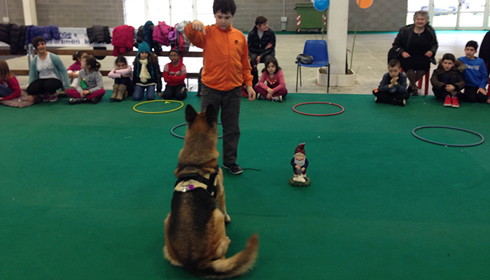 L'educazione del cane