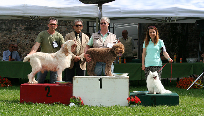 Raggr. Veterani : 1-volpino italiano 148 .. 2-spinone ital. 265 .. 3-lagotto 316