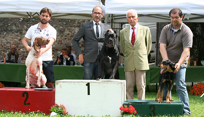Raggr. Giovani : 1- segugio ital PF 201 .. 2- bracco ital. 248 .. 3-cane corso 79
